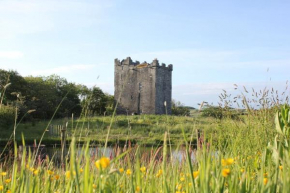 Smithstown Castle
